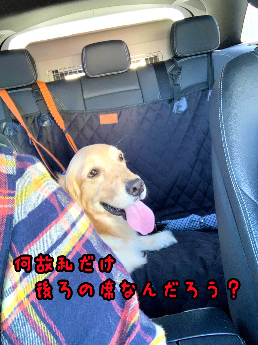 f:id:ysnyn658:20200221192059j:plain f:id:ysnyn658:20200221192059j:plain