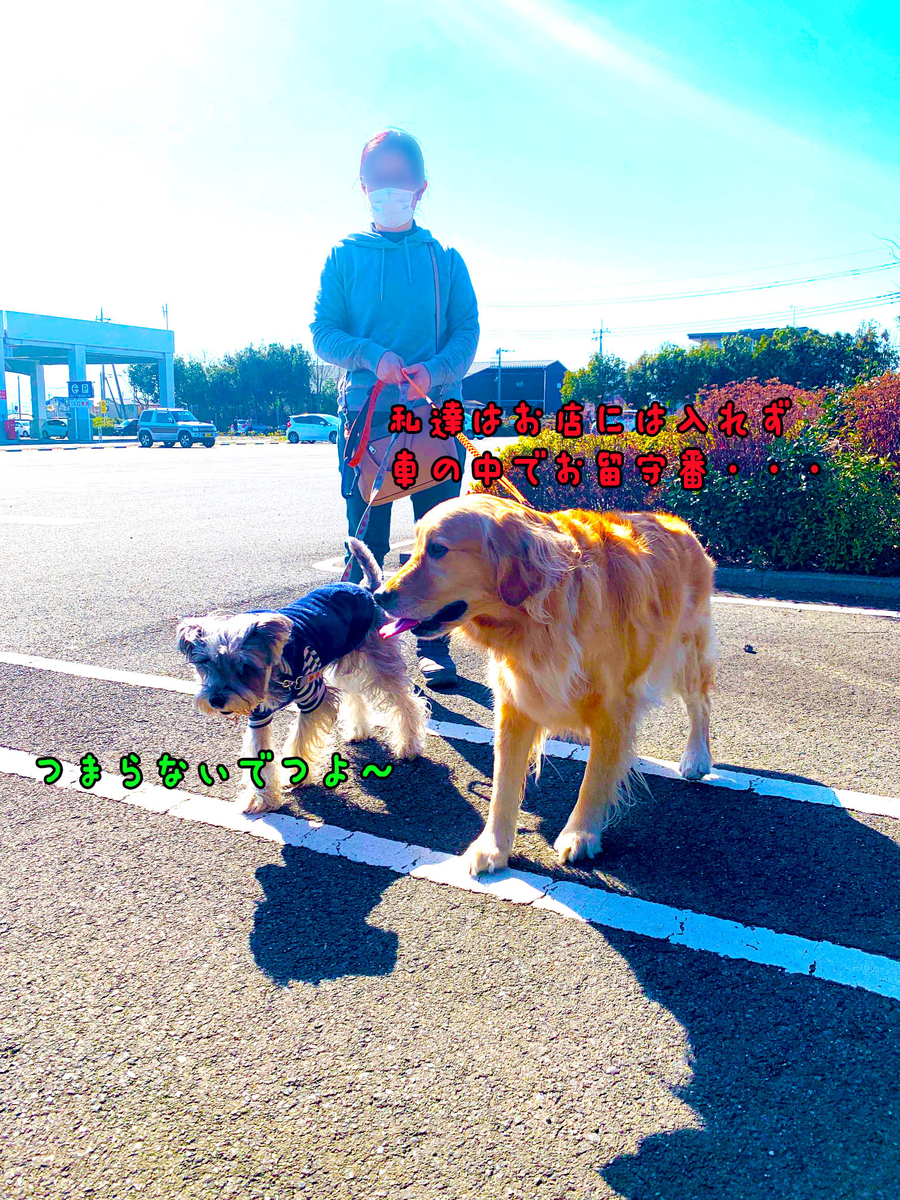 f:id:ysnyn658:20200221192744j:plain f:id:ysnyn658:20200221192744j:plain