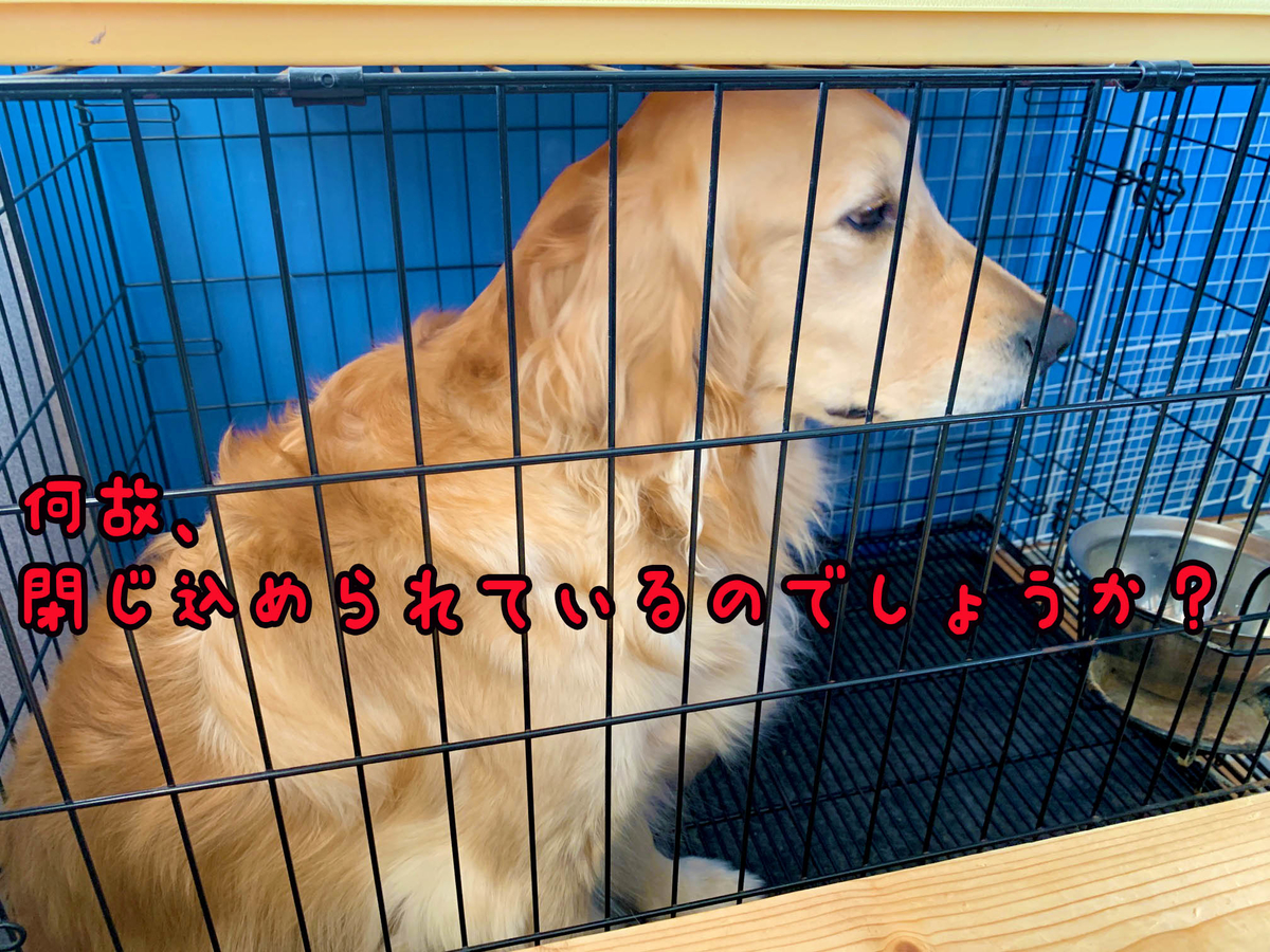 f:id:ysnyn658:20200224191406j:plain f:id:ysnyn658:20200224191406j:plain