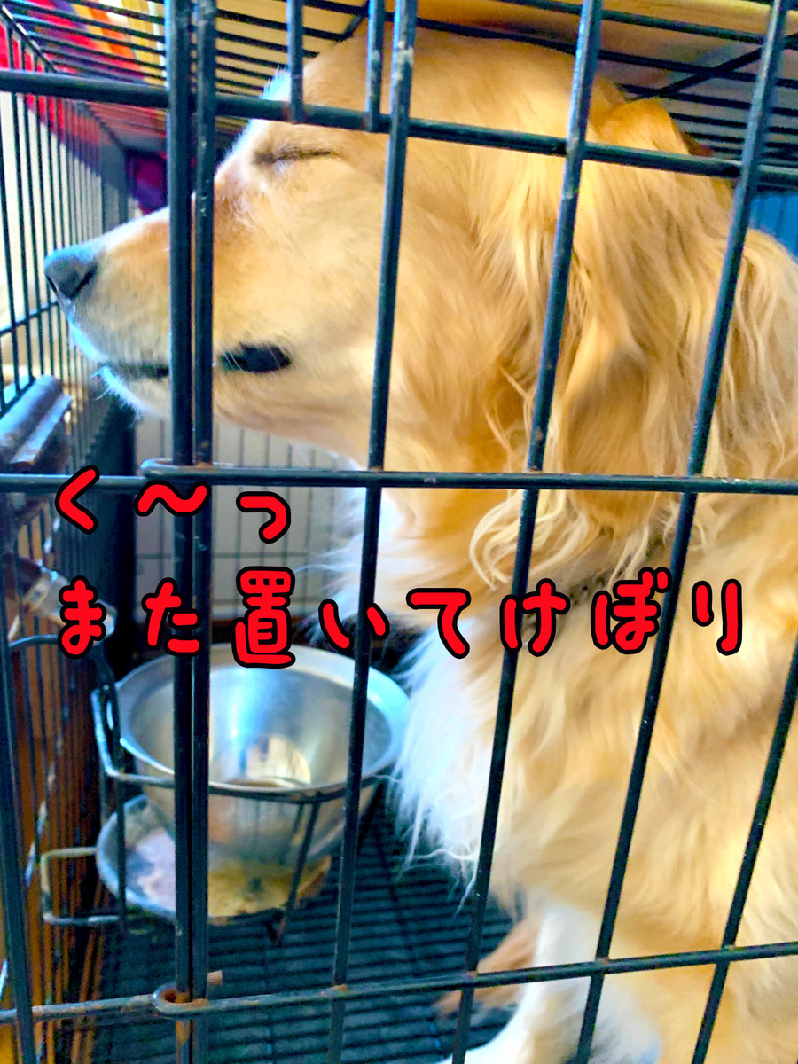 f:id:ysnyn658:20200228134617j:plain f:id:ysnyn658:20200228134617j:plain