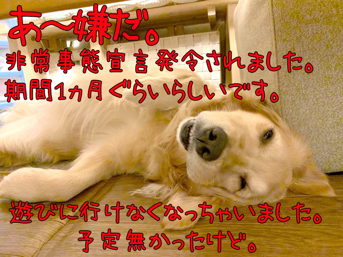 f:id:ysnyn658:20200407141124j:plain f:id:ysnyn658:20200407141124j:plain