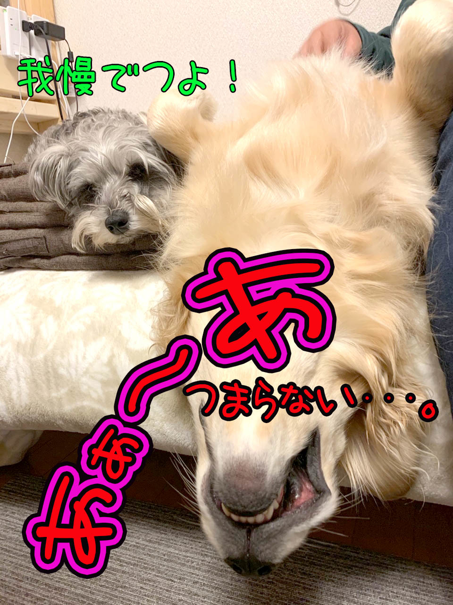 f:id:ysnyn658:20200407141134j:plain f:id:ysnyn658:20200407141134j:plain
