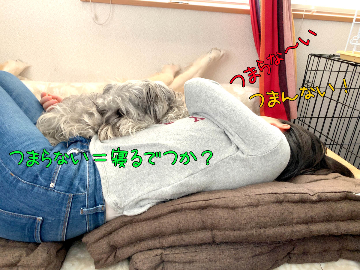 f:id:ysnyn658:20200407141147j:plain f:id:ysnyn658:20200407141147j:plain