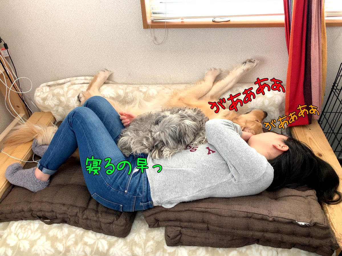 f:id:ysnyn658:20200407141200j:plain f:id:ysnyn658:20200407141200j:plain