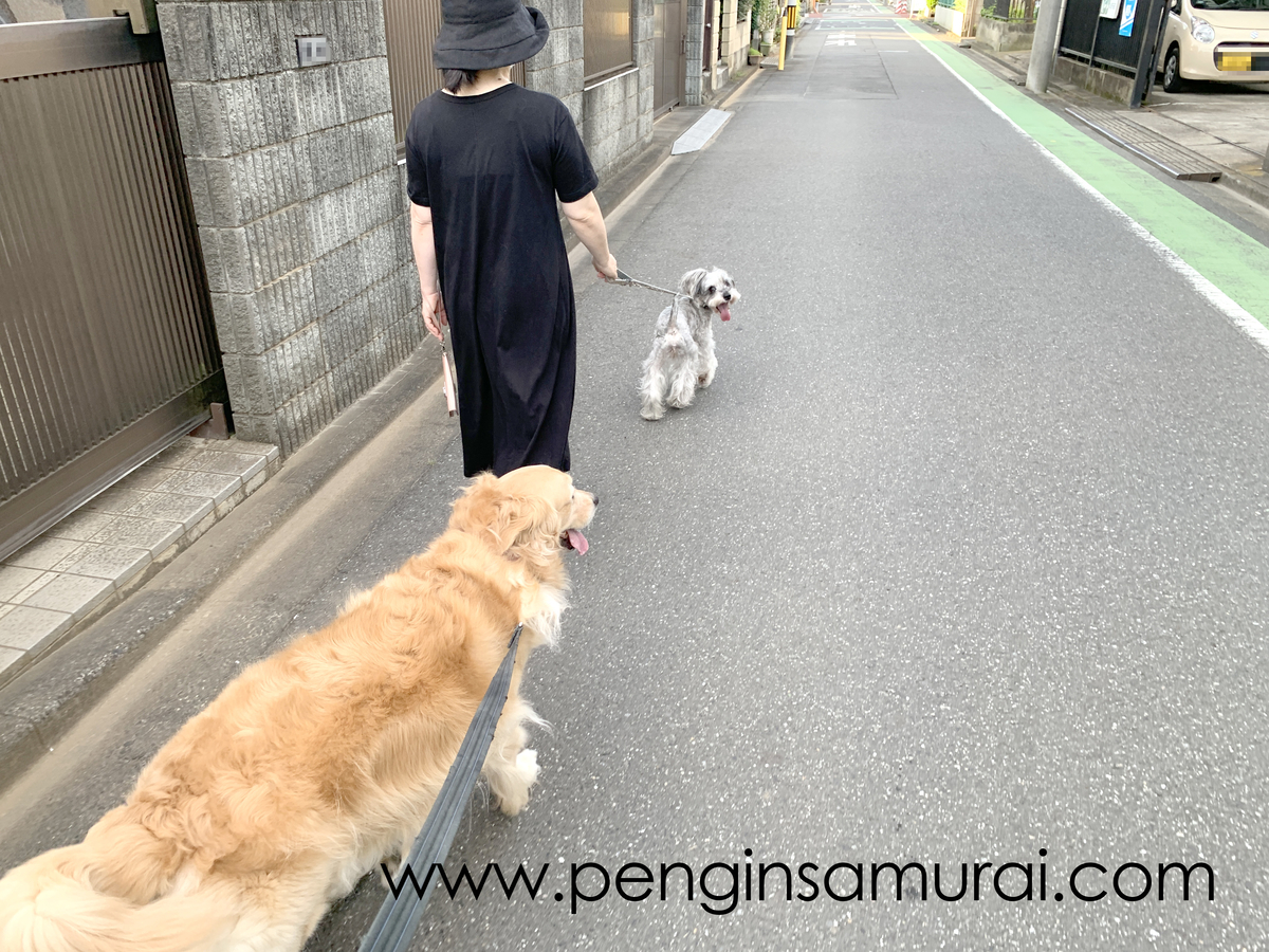 f:id:ysnyn658:20210724202252j:plain