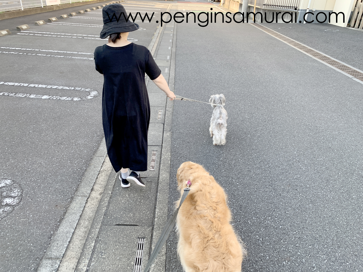 f:id:ysnyn658:20210724202308j:plain
