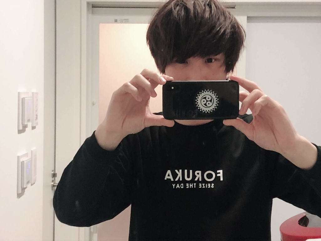 f:id:yssitmrg:20190216034459j:plain f:id:yssitmrg:20190216034459j:plain