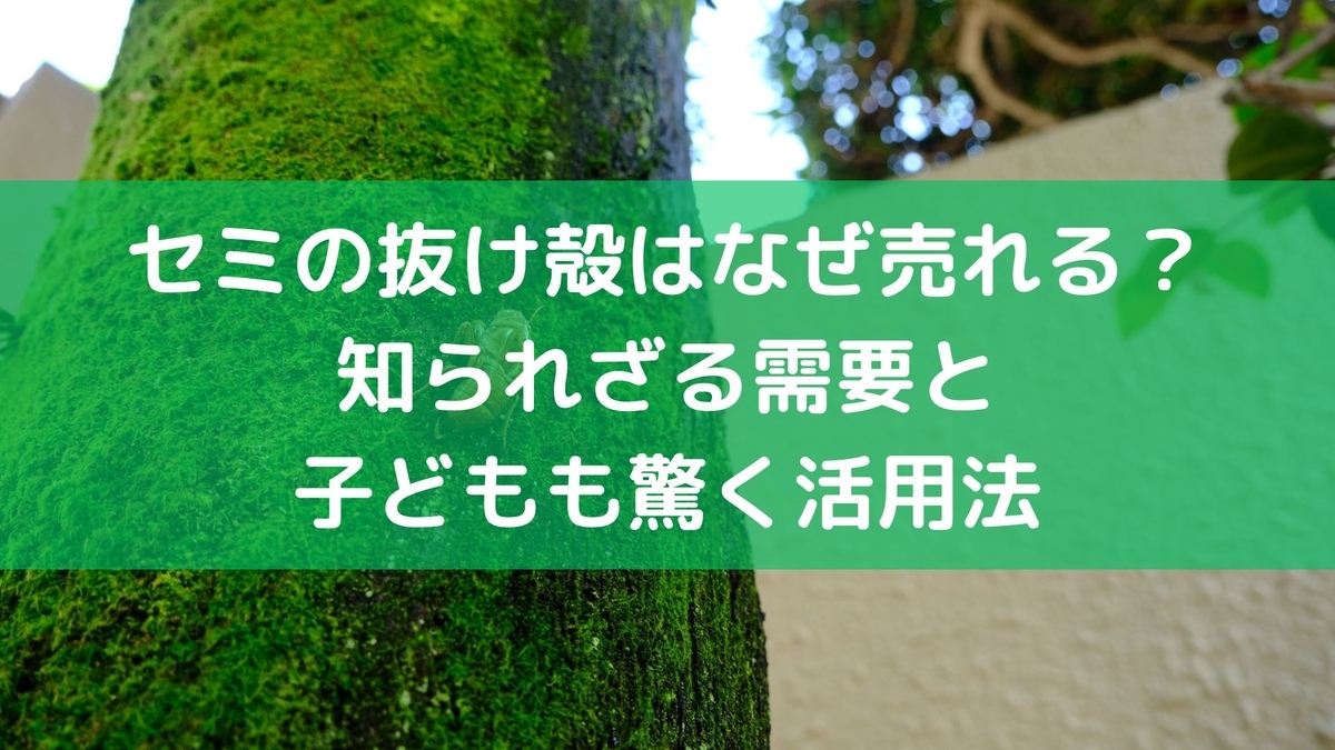 蝉 の抜け殻 なぜ売れる