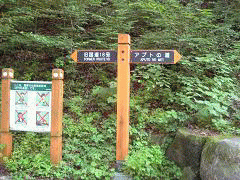 イメージ 5