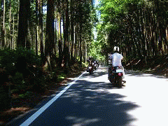 イメージ 9