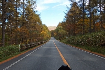 イメージ 16