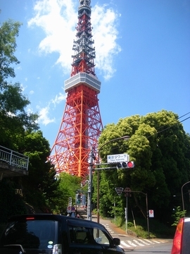 イメージ 14
