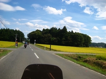 イメージ 11