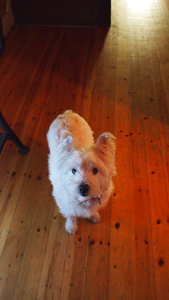 f:id:ytakachan:20220127160529j:plain