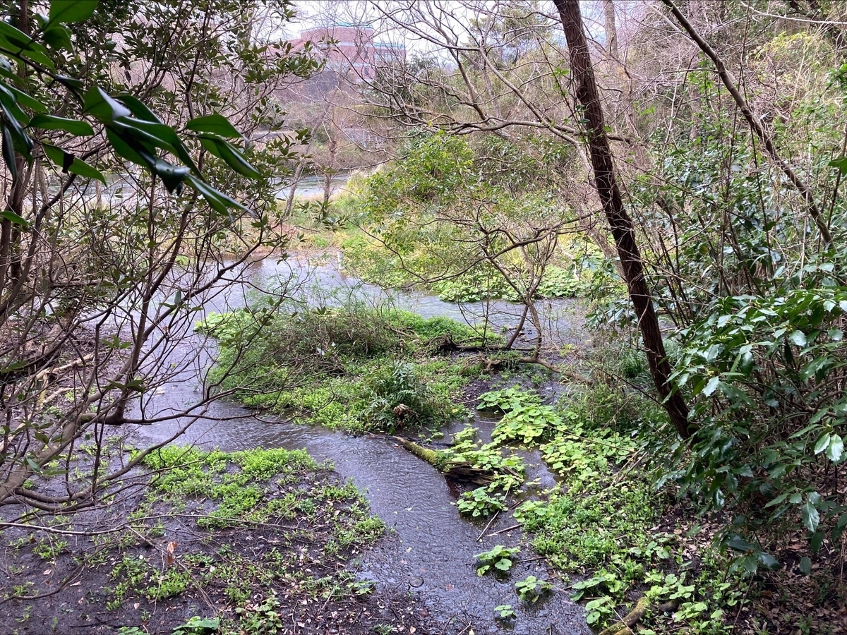 f:id:ytakachan:20220131130537j:plain