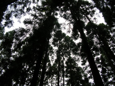 f:id:ytb:20061112212200j:image:w200