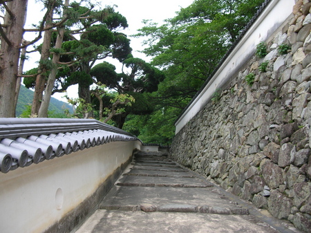 f:id:ytb:20070617154247j:image:w160