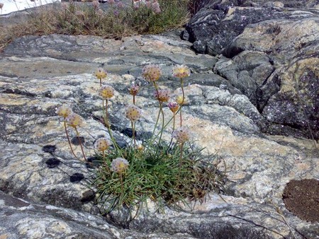 f:id:ytb:20080601142628j:image:w160