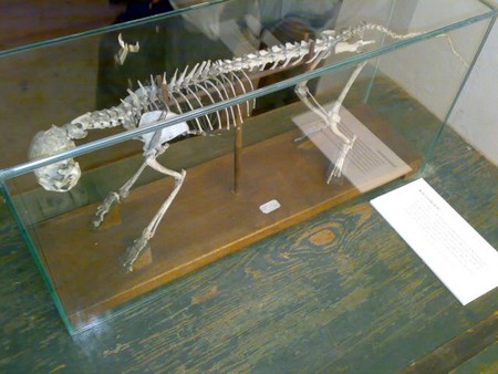 f:id:ytb:20080814202357j:image:w200