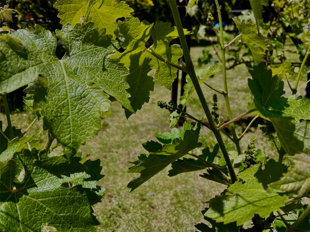 f:id:ytobetemobuta:20220121064341j:image f:id:ytobetemobuta:20220121064341j:image