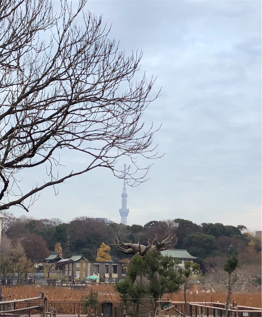 f:id:ytoyoto:20181226171840j:image f:id:ytoyoto:20181226171840j:image