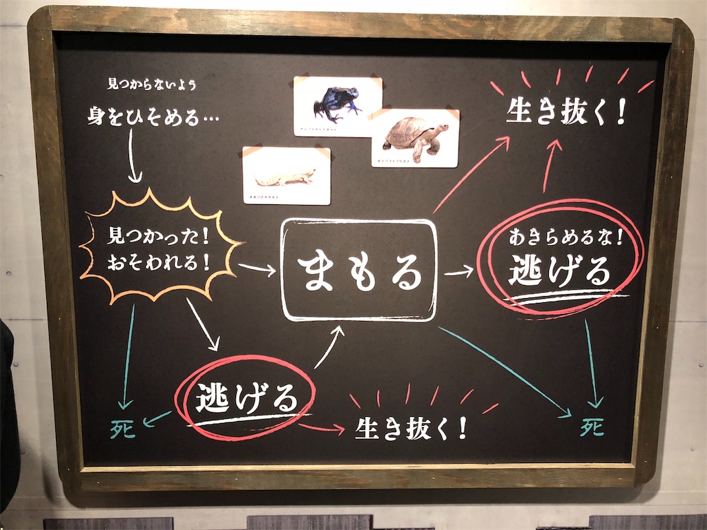 f:id:ytoyoto:20181226171917j:image f:id:ytoyoto:20181226171917j:image