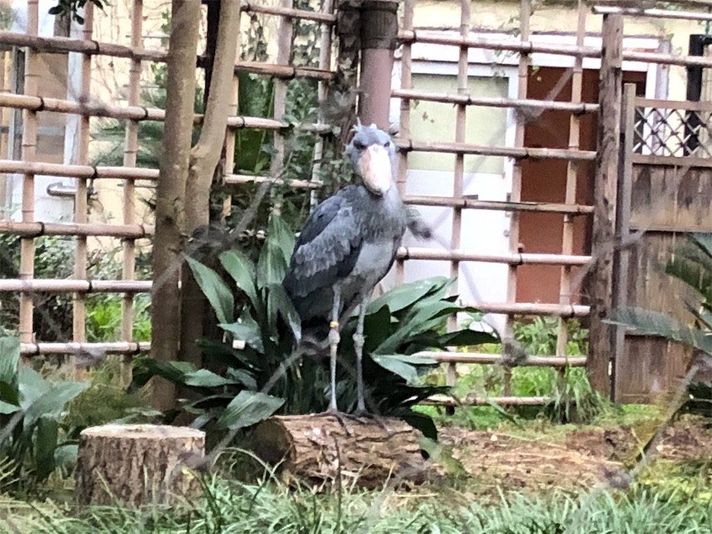 f:id:ytoyoto:20181226172248j:image f:id:ytoyoto:20181226172248j:image