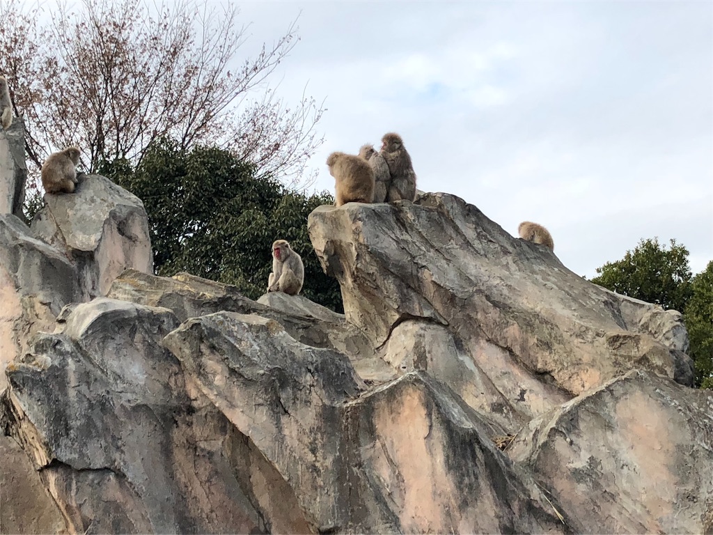 f:id:ytoyoto:20181226172323j:image f:id:ytoyoto:20181226172323j:image