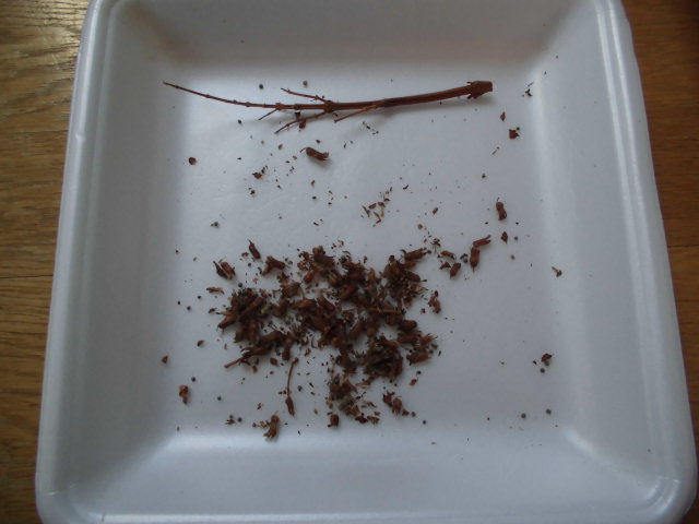 f:id:ytyaru:20210722181426j:plain