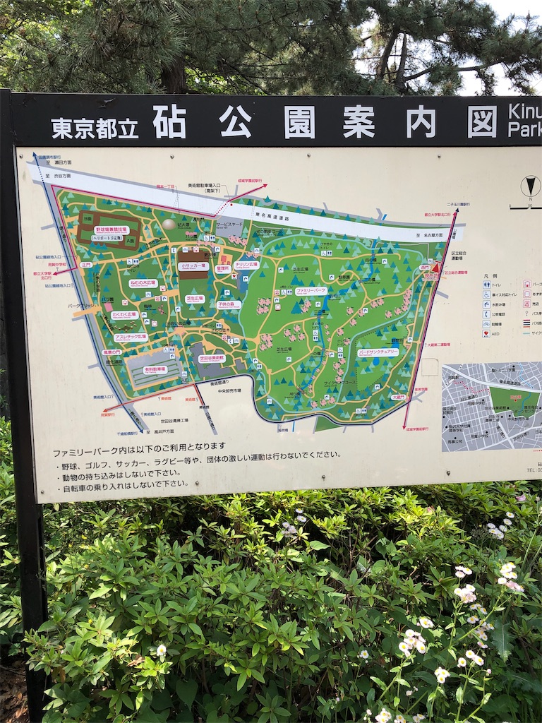 f:id:yu-_ta:20190521131932j:image f:id:yu-_ta:20190521131932j:image