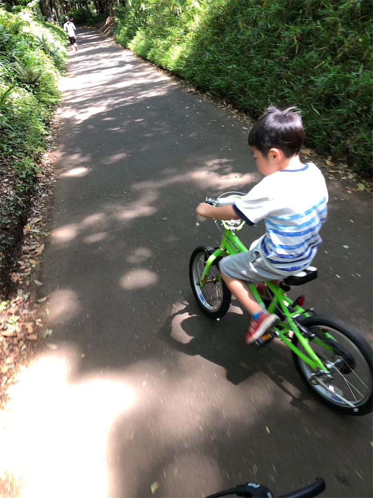 f:id:yu-_ta:20190524230646j:image f:id:yu-_ta:20190524230646j:image