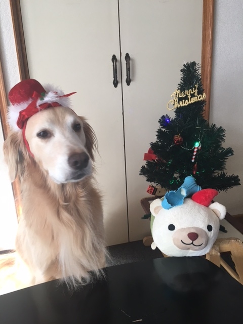 f:id:yu-hochuke:20161225202530j:image f:id:yu-hochuke:20161225202530j:image