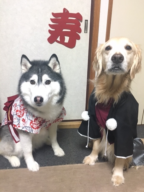 f:id:yu-hochuke:20170101173616j:image f:id:yu-hochuke:20170101173616j:image