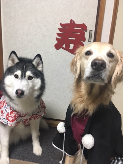 f:id:yu-hochuke:20170101213342j:image f:id:yu-hochuke:20170101213342j:image
