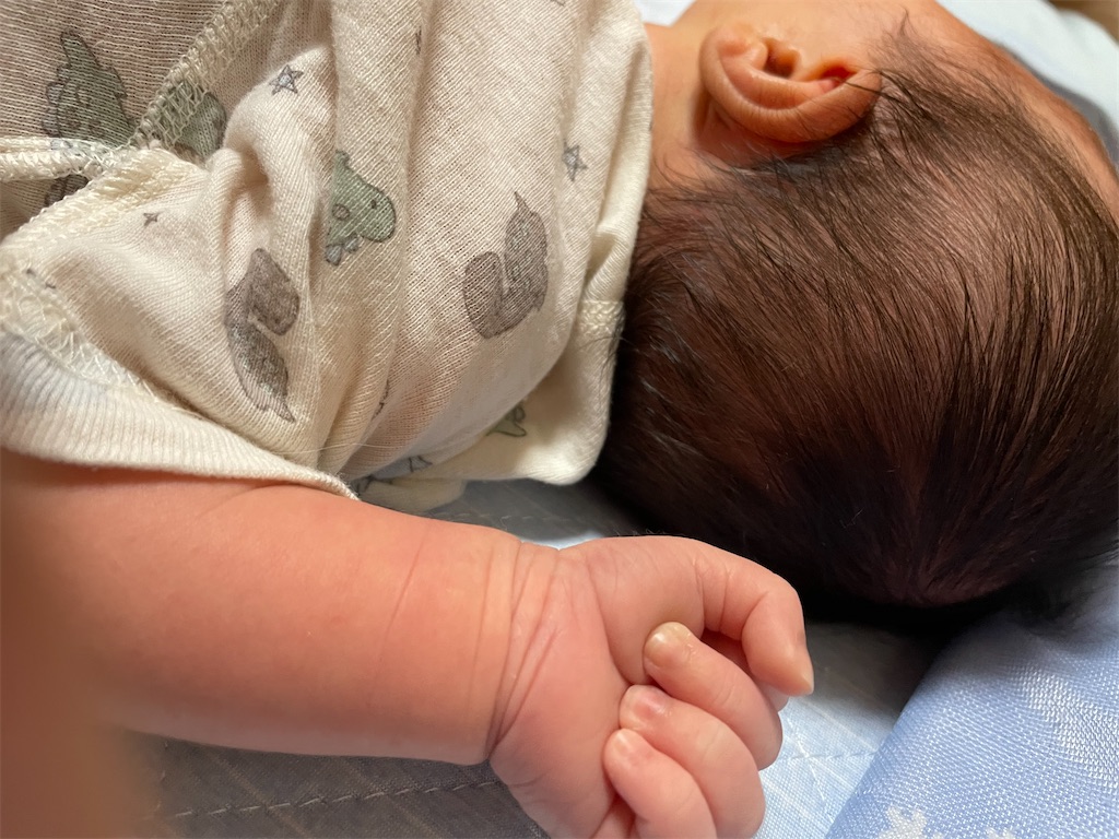 f:id:yu-k615:20240818190949j:image