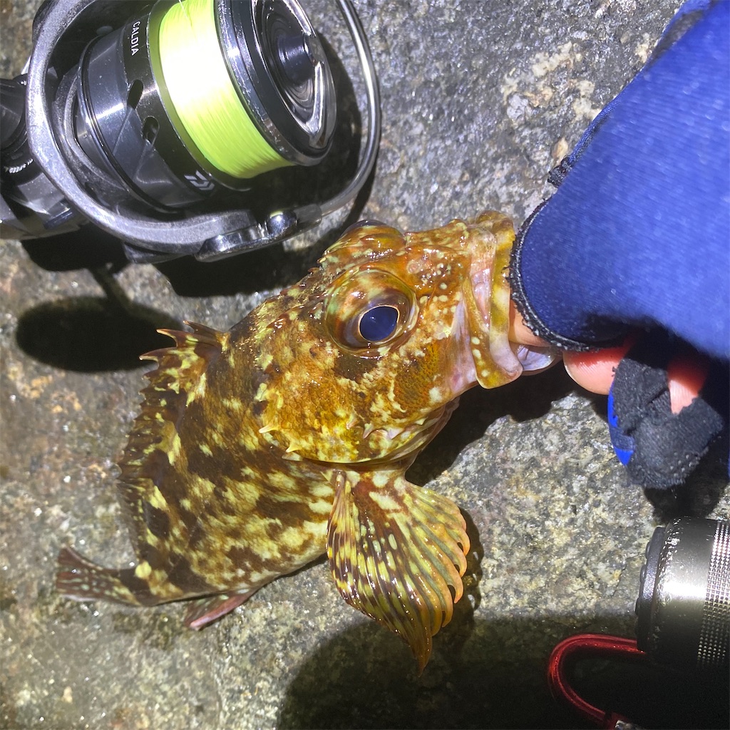 ガルプ　根魚　大量 楽天市場】根がかり激減 岩王 04銀平 4個セット ロック