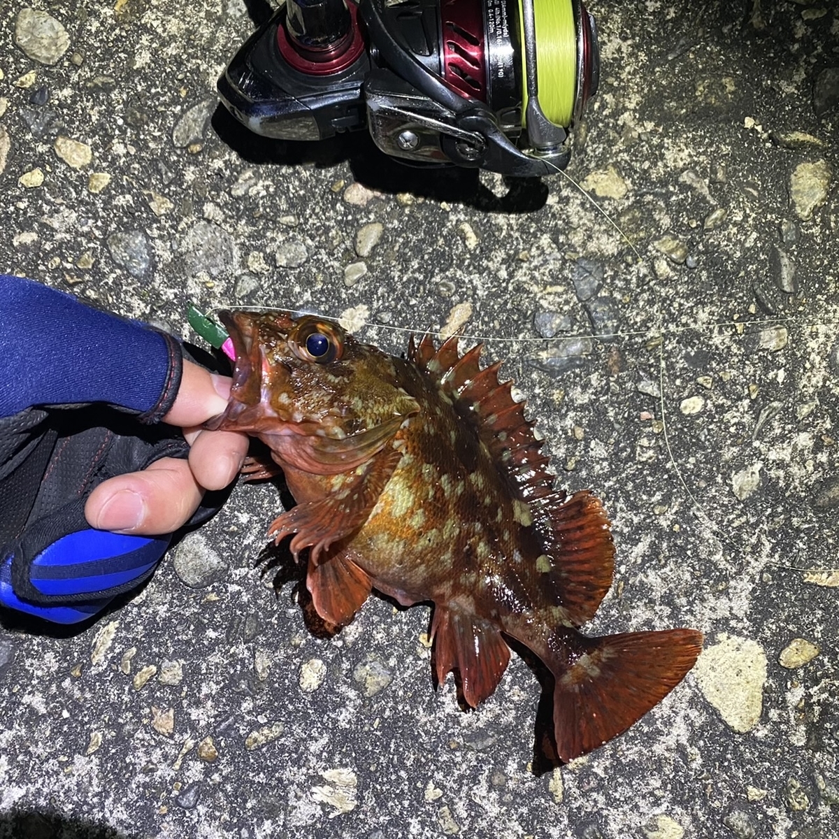 f:id:yu-kin-fishing:20210310113731j:plain