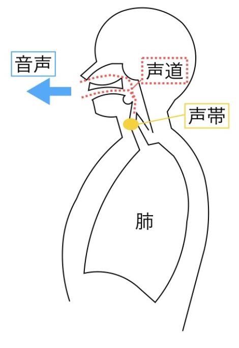 f:id:yu-kunVoice:20180819013812p:plain f:id:yu-kunVoice:20180819013812p:plain