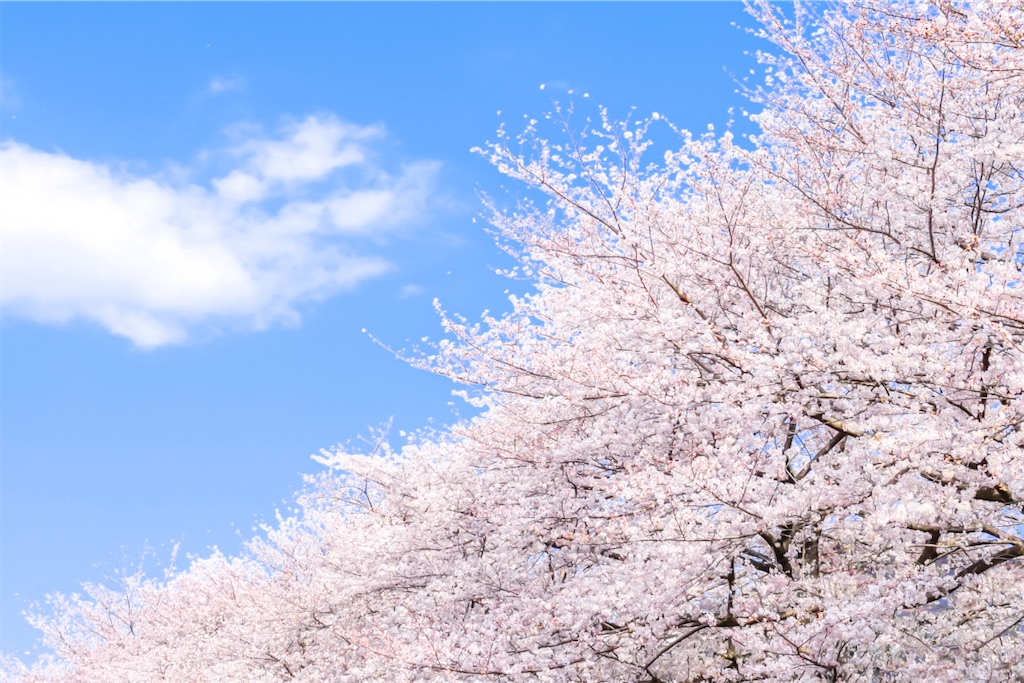 f:id:yu-ponkun:20210316104928j:image f:id:yu-ponkun:20210316104928j:image