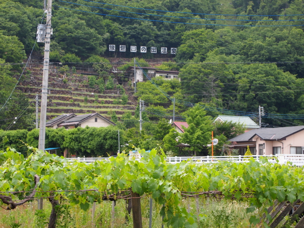 f:id:yu-snfkn:20180220234821j:plain