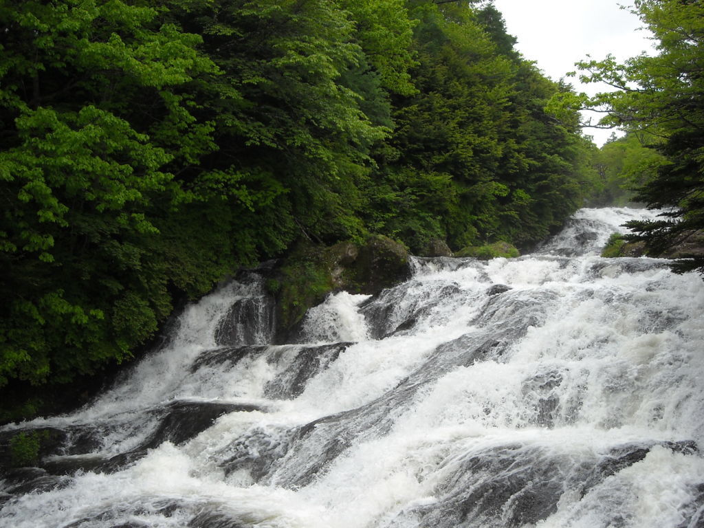 f:id:yu-snfkn:20180531221243j:plain