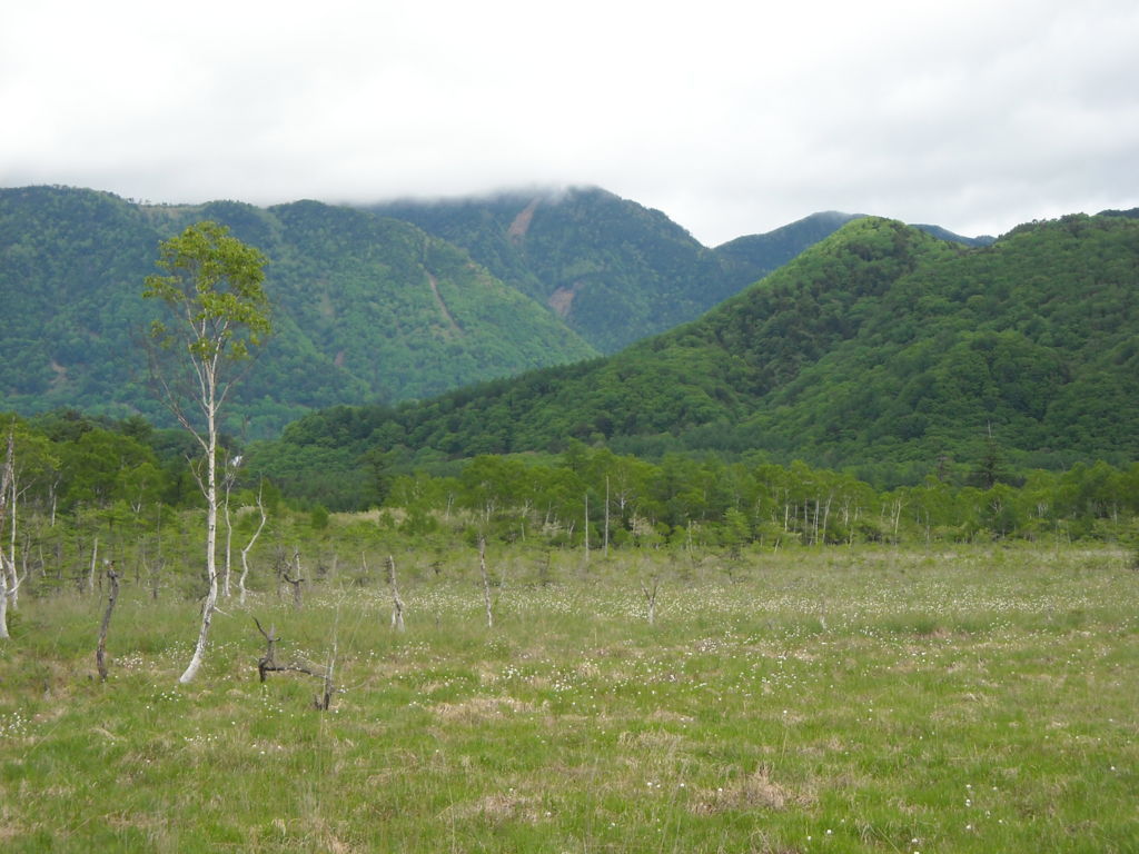 f:id:yu-snfkn:20180531221342j:plain