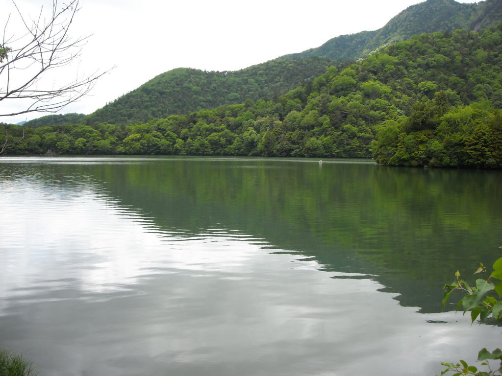 f:id:yu-snfkn:20180531221423j:plain