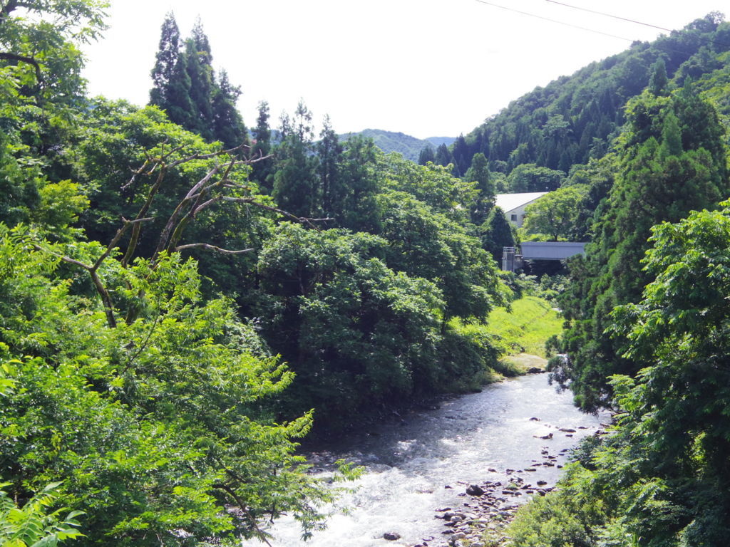 f:id:yu-snfkn:20180614230705j:plain