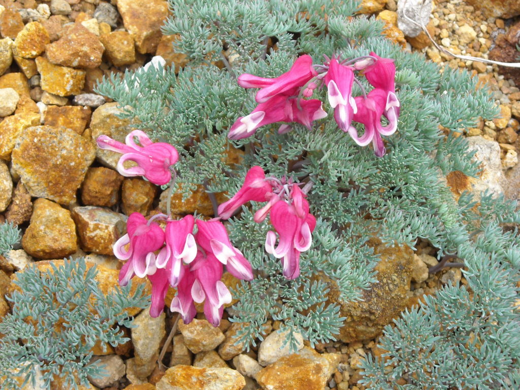 f:id:yu-snfkn:20180701004612j:plain