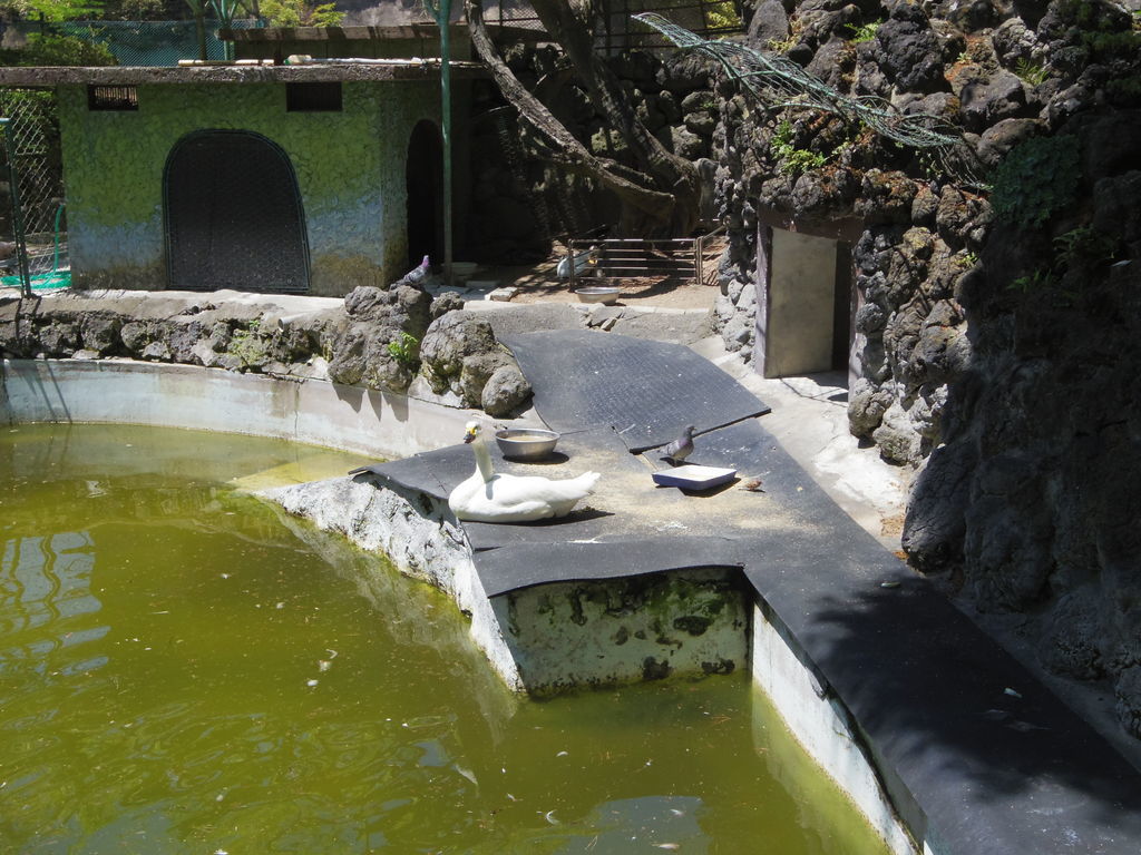 f:id:yu-snfkn:20180909171712j:plain f:id:yu-snfkn:20180909171712j:plain