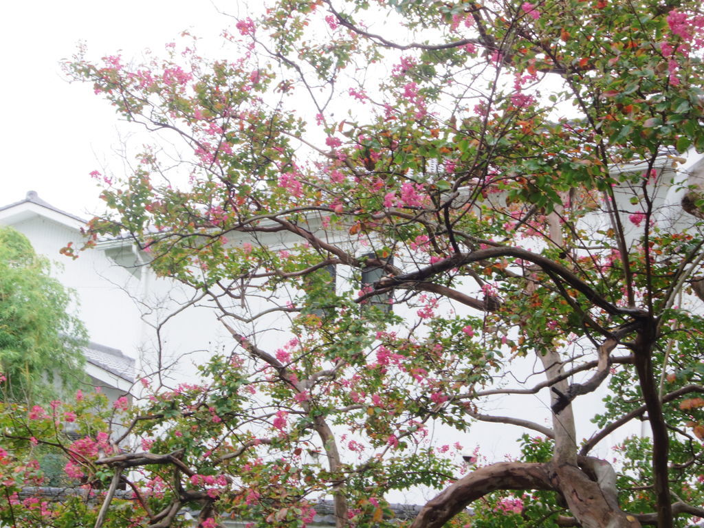 f:id:yu-snfkn:20180925000935j:plain f:id:yu-snfkn:20180925000935j:plain