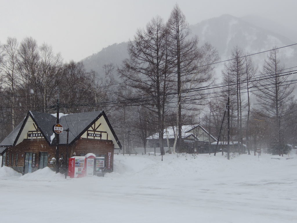 f:id:yu-snfkn:20181229181329j:plain