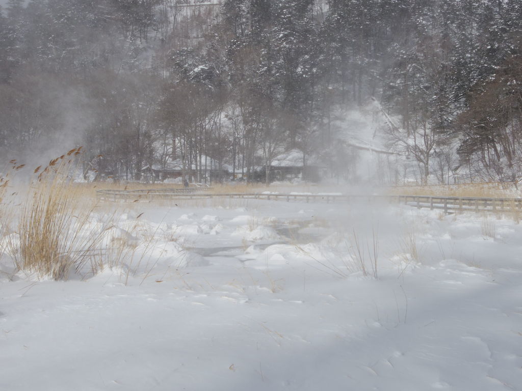 f:id:yu-snfkn:20181229181709j:plain