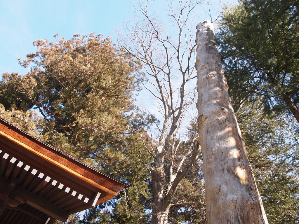 f:id:yu-snfkn:20190201182153j:plain